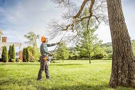 Reliable Port Clinton, OH Tree Services Solutions